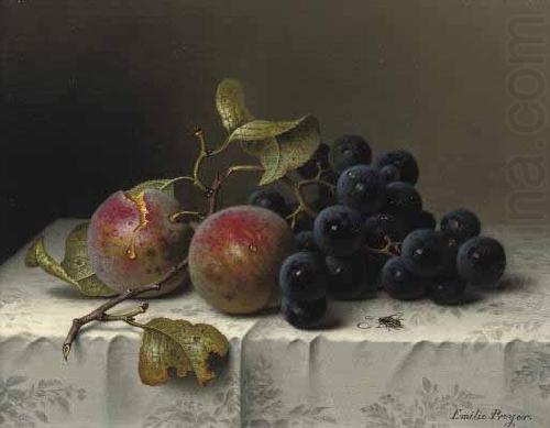 Johann Wilhelm Preyer Prunes and grapes on a damast tablecloth china oil painting image